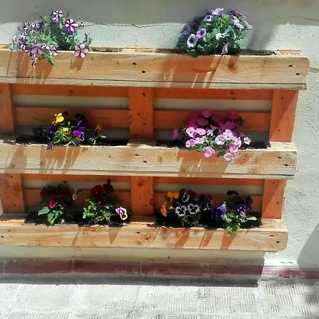 Apartamento Mareamore