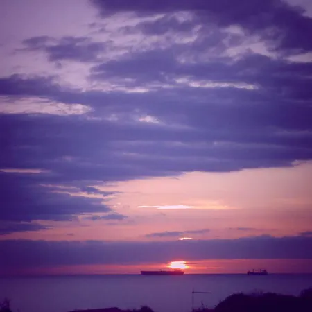 Mareamore *